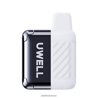 UWELL DM4000 vape sekali pakai persik oolong XP2J2H308 Best UWELL Flavours