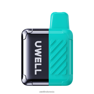 UWELL DM4000 vape sekali pakai persik oolong XP2J2H308 Best UWELL Flavours