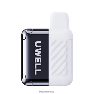 UWELL DM4000 vape sekali pakai persik oolong XP2J2H308 Best UWELL Flavours