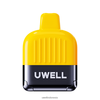 UWELL DN8000 vape sekali pakai anggur cranberry XP2J2H310 UWELL Vape For Sale